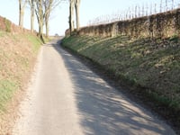 Bronkweg von Eckelrade