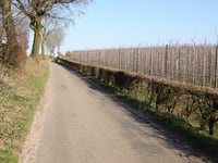 Bronkweg von Eckelrade