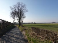 Bronkweg von Eckelrade