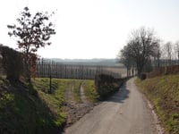 Bronkweg von Eckelrade