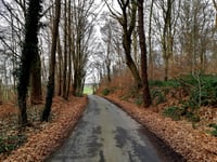 Brüner Höhen von Weyerbach