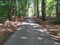Brüner Höhen von Weyerbach
