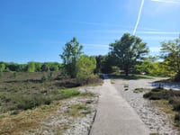 Brunssummerheide von Brunssum