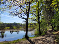 Brunssummerheide von Brunssum