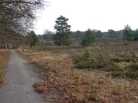 Brunssummerheide von Brunssum