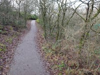 Brunssummerheide von Brunssum