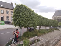 Brusselsesteenweg przez S-bocht