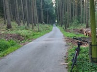 Brzozowa via Zdrojowisko