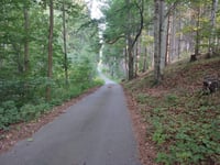 Brzozowa via Zdrojowisko