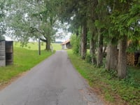 Buchen von Stötten am Auerberg