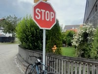 Buchen von Stötten am Auerberg