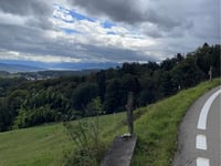 Buchenegg desde Albisstrasse