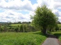 Buchgasse von Paustenbach
