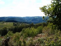 Bueberg / Höhenweg via Hegenscheider Weg