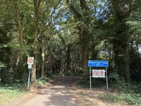 Buissteeg
