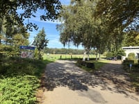 Buissteeg
