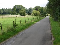 Buissteeg