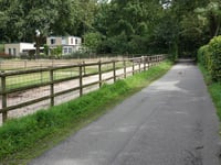 Buissteeg