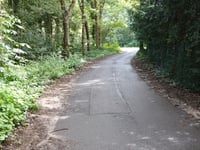 Buissteeg
