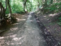 Buldersweg von Benzenrade