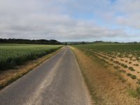 Bullecamps von Alquines