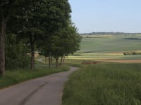 Bullescamps von Coulomby