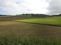 Bullescamps von Coulomby