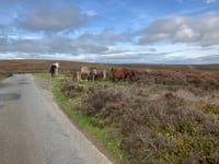 Bur Way da Church Stretton