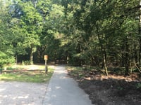 Burelhul da Gerritsflesch