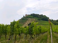 Burg Staufen