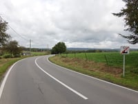 Busch über Montzener Strasse
