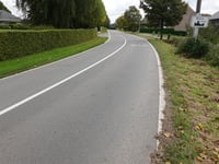 Busch über Montzener Strasse
