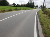 Busch über Montzener Strasse