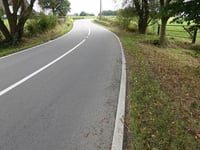 Busch über Montzener Strasse