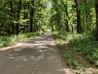 Buschberge über Jülicher Strasse