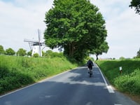 Büschen von Hinsbeck