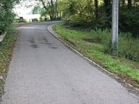 Bushaye
