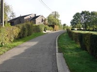 Bushaye