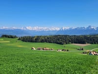 Bütschelegg depuis Oberbütschel
