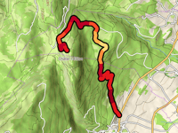 Buvette de Châtel da Montricher