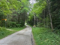 Buvette de Châtel from Montricher