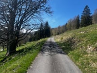 Buvette de la Dent de Vaulion from Vaulion