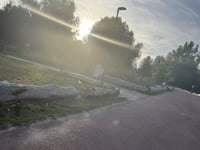Buytenpark da Skipad