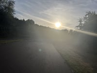 Buytenpark da Skipad