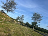 Buytenpark da Stompwijksepad