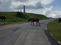 Buzludzha from Kazanlak