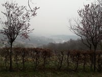 Ca' Bracaglia über Riviera