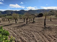 Calvià von Es Capdellà
