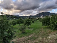 Calvià von Es Capdellà