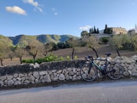Calvià